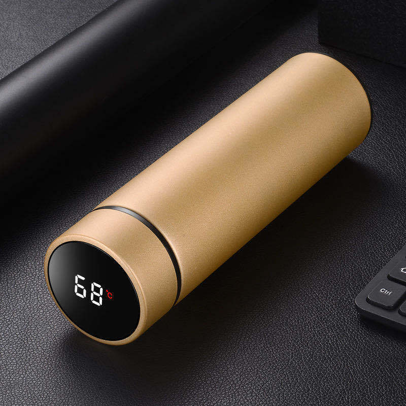Bouteille d'eau en acier inoxydable de 450 ml, double paroi, isolée sous vide, idéale pour les voyages, le sport ou l'extérieur
