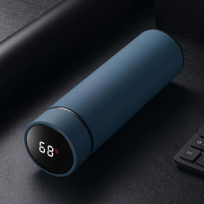 Bouteille d'eau en acier inoxydable de 450 ml, double paroi, isolée sous vide, idéale pour les voyages, le sport ou l'extérieur
