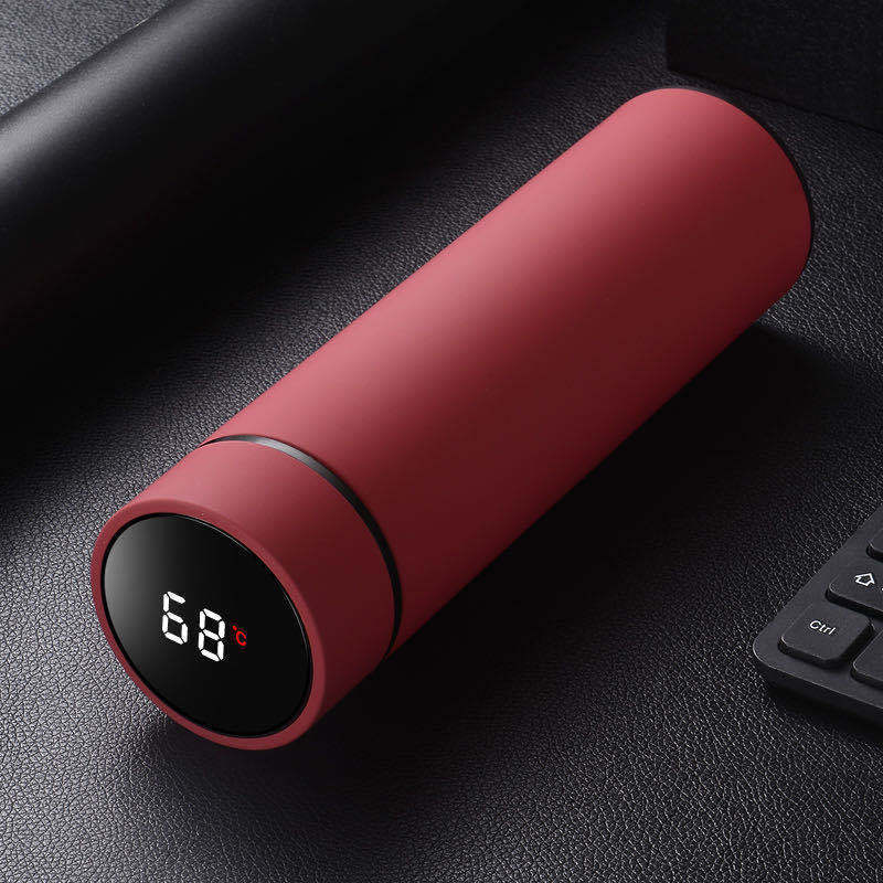 Bouteille d'eau en acier inoxydable de 450 ml, double paroi, isolée sous vide, idéale pour les voyages, le sport ou l'extérieur